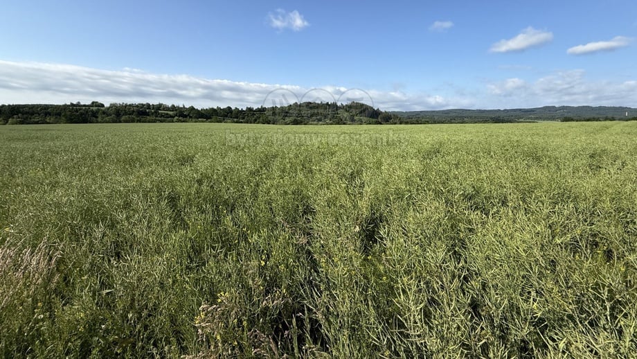 Prodej pole 8 056 m², Rožmitál pod Třemšínem - Skuhrov