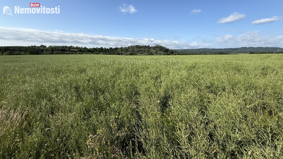 Prodej pole 8 056 m², Rožmitál pod Třemšínem
