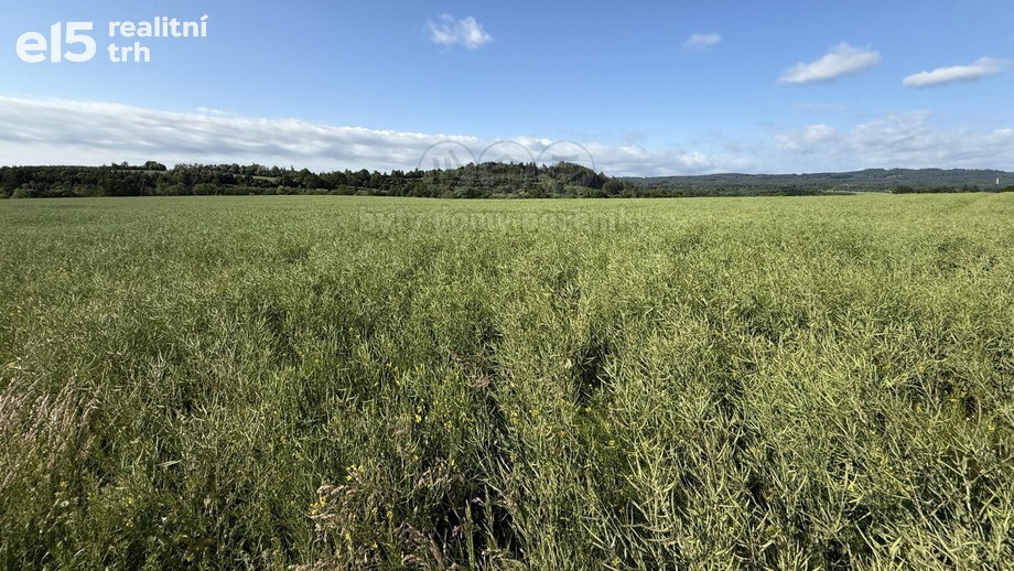 Prodej zemědělská půda, 8 056 m² - Rožmitál pod Třemšínem - Skuhrov