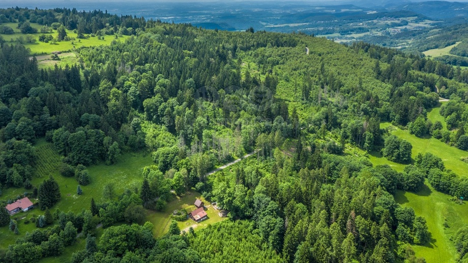 Prodej lesa 29 930 m², Chuchelna