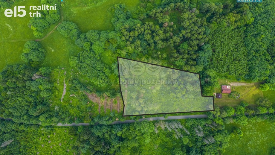Prodej lesy, 7 528 m² - Chuchelna