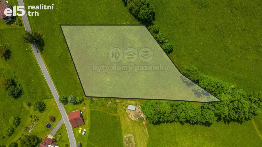 Prodej pozemky - trvalý travní porost, 3 867 m² - Zlatá Olešnice - Návarov
