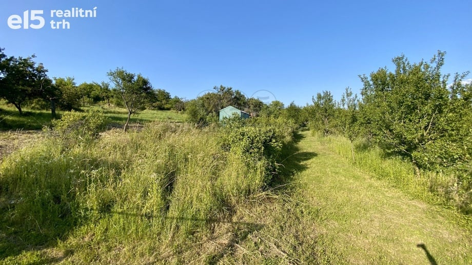 Prodej zahrady 1 031 m², Syrovín
