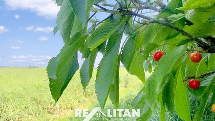 Prodej stavebního pozemku 4 877 m², Unín, Slovensko