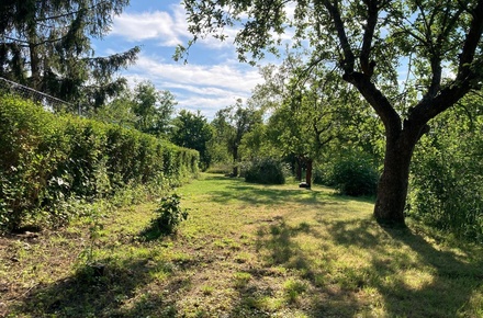 Prodej zahrady 760 m², Praha - Veleslavín