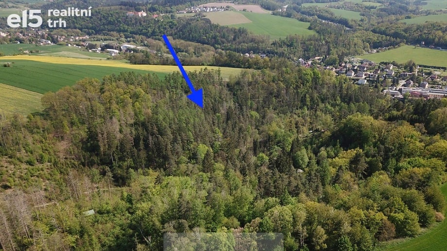 Prodej lesy, 4 369 m² - Chocerady
