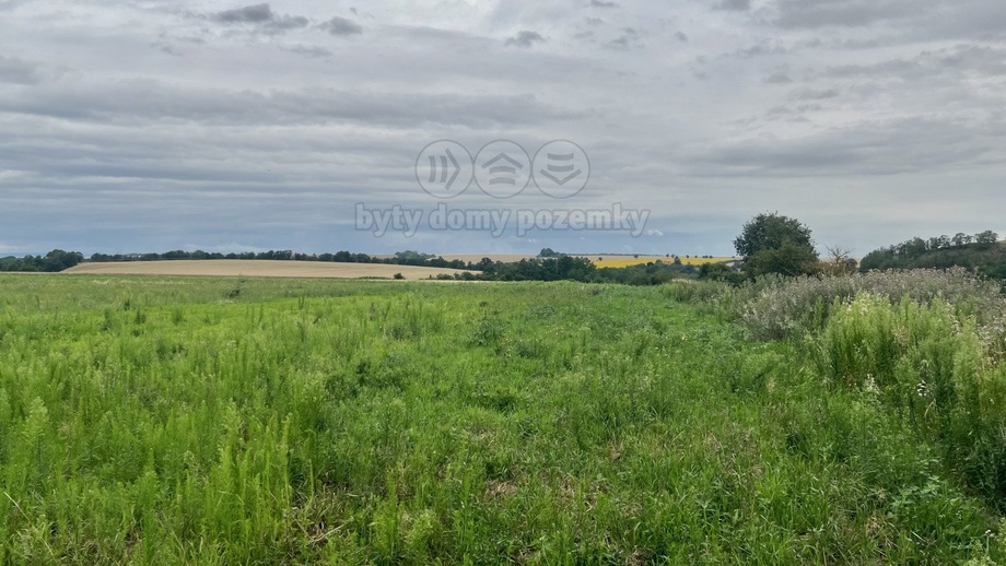 Prodej pole 9 463 m², Libořice - Železná