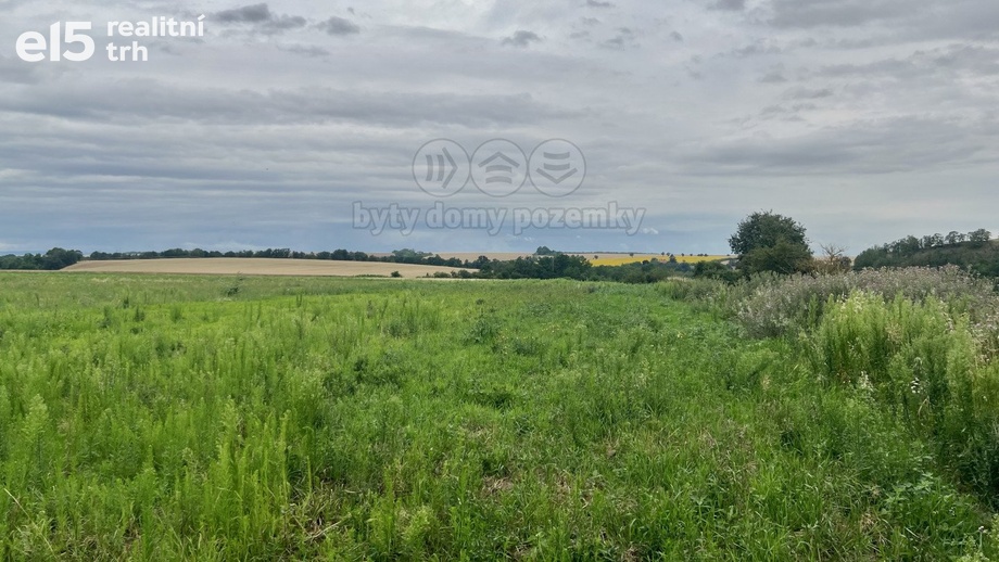 Prodej pole 9 463 m², Libořice - Železná