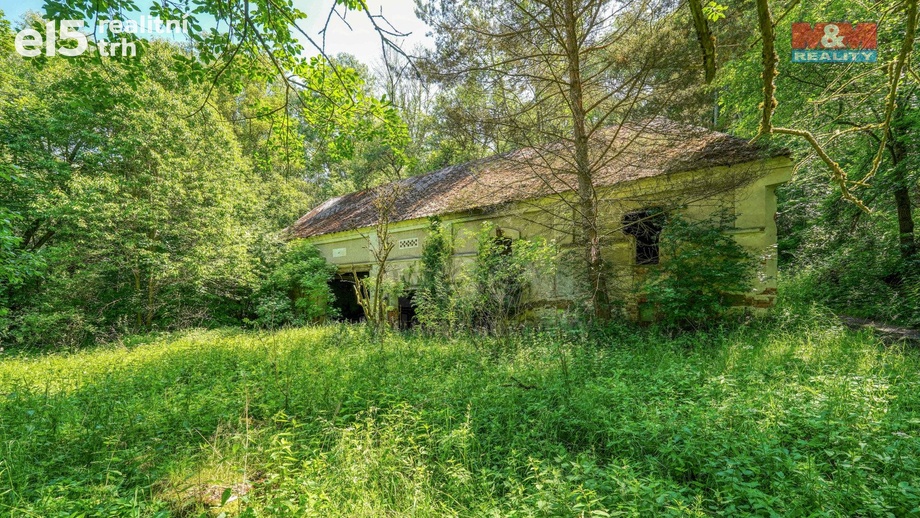 Prodej lesy, 5 096 m² - Hostouň