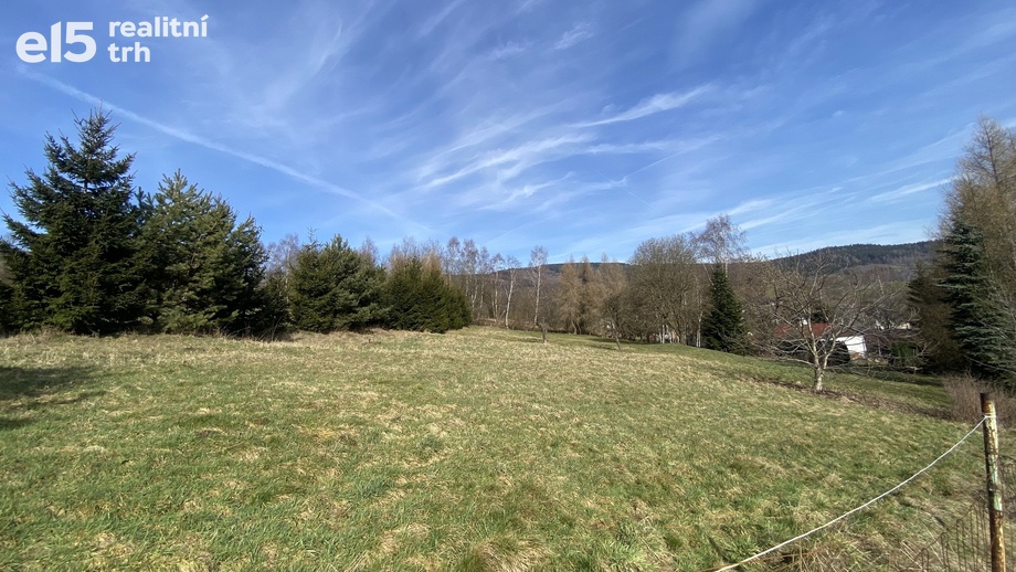 Prodej stavebního pozemku 1 500 m², Domašín - Petlery