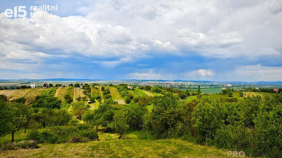 Prodej pozemky - zahrady, 7 961 m² - Blučina