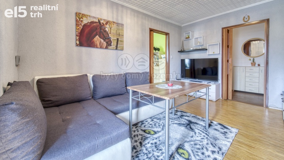 Prodej byty 3+1, 60 m² - Líně