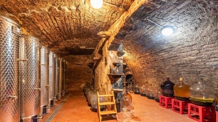 Prodej vinného sklepa 76 m², Březí