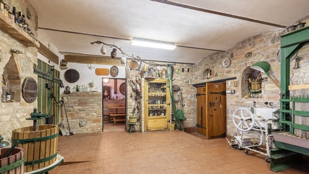 Prodej vinného sklepa 76 m², Březí