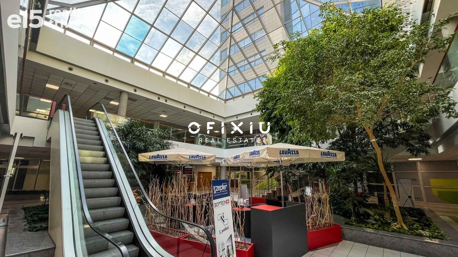 Pronájem obchodního prostoru 400 m², Brno - Štýřice