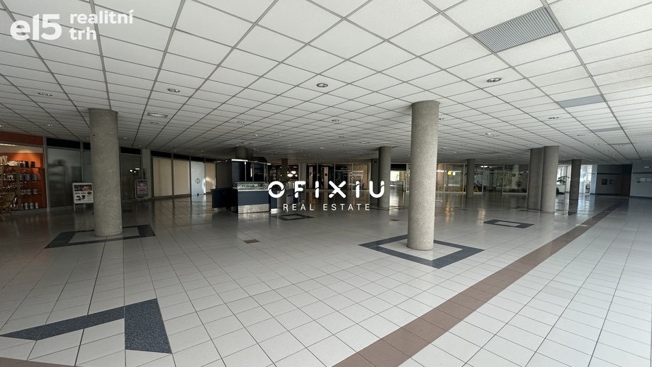Pronájem obchodního prostoru 600 m², Brno - Štýřice