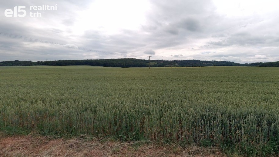 Prodej zemědělská půda, 7 003 m² - Jinačovice