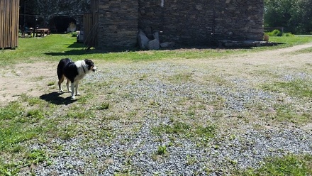 Prodej rodinného domu 520 m², Malšín - Ostrov na Šumavě