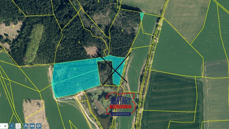 Prodej lesa 52 351 m², Ješetice