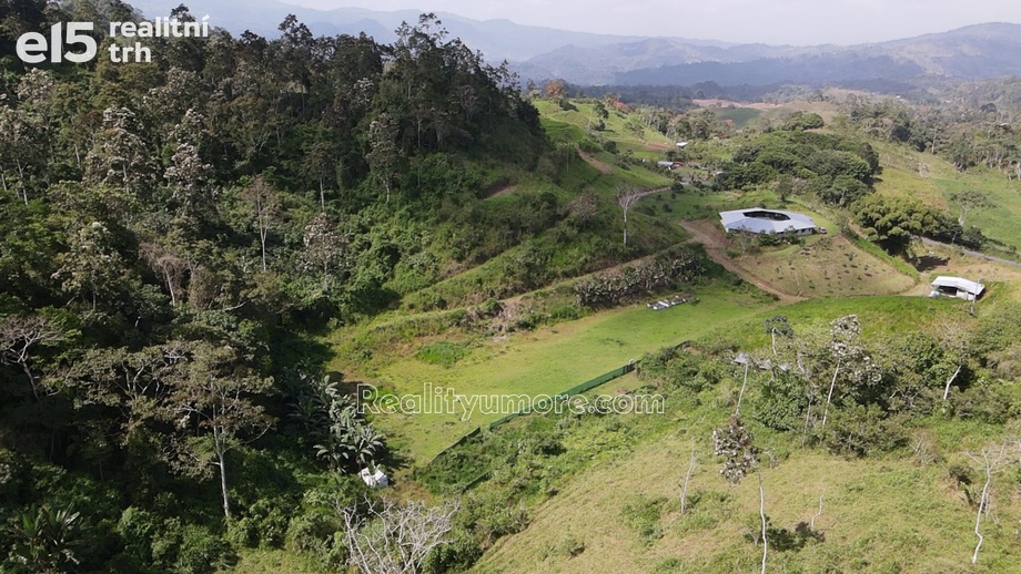 Prodej zemědělská usedlost, 528 m² - Turrialba