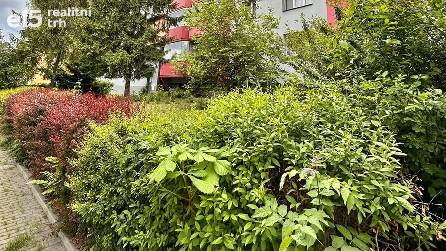 Prodej byty 1+1, 38 m² - Karviná - Ráj