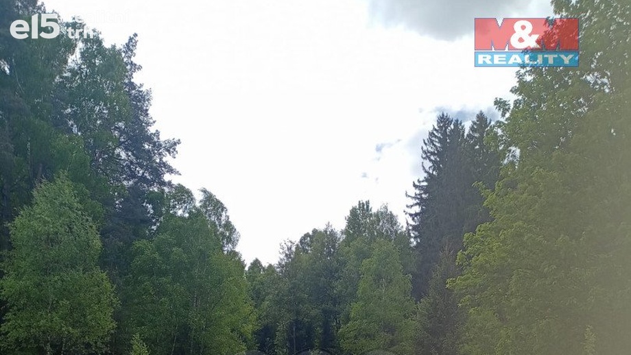 Prodej lesy, 4 526 m² - Dlouhý Most