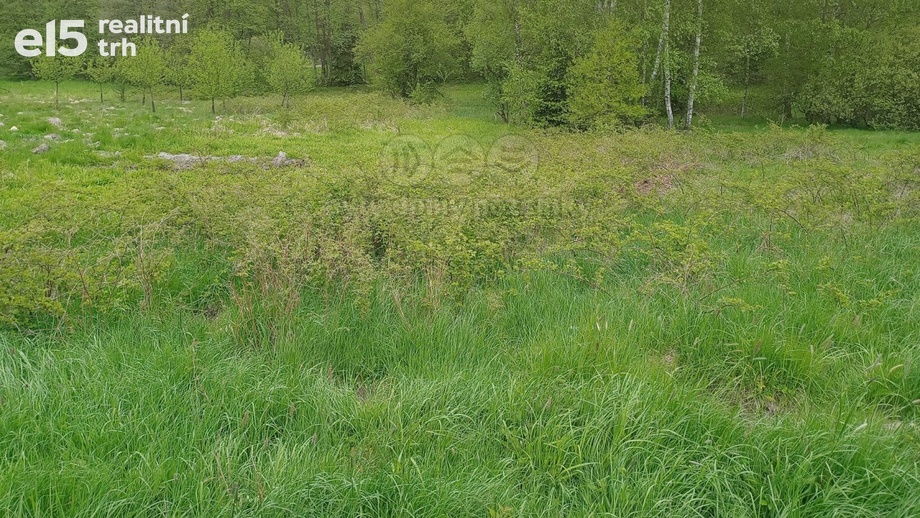 Prodej pozemky - trvalý travní porost, 6 962 m² - Kořenov - Rejdice