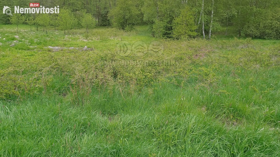 Prodej louky 6 962 m², Kořenov