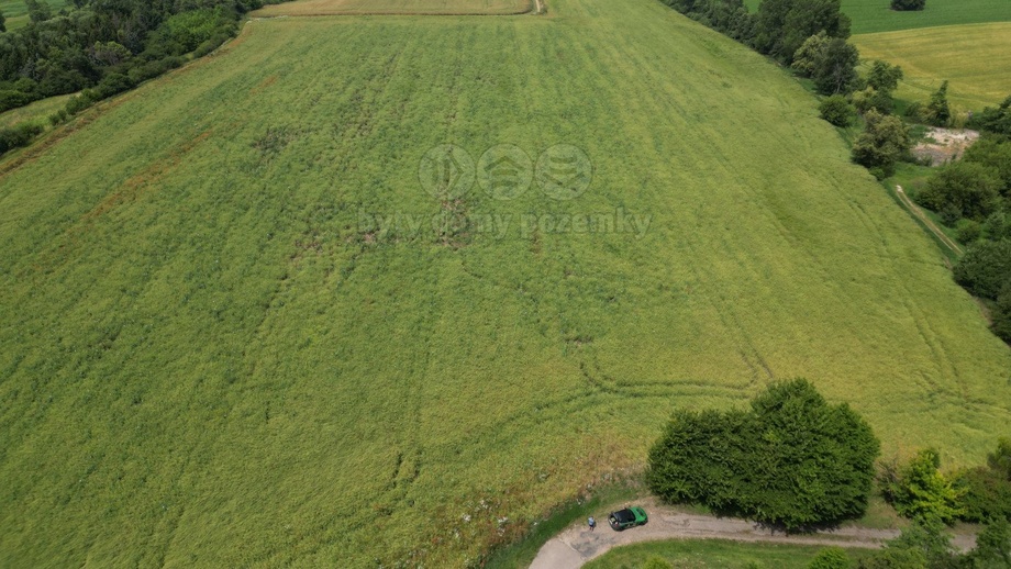 Prodej pole 10 932 m², Prostějov - Žešov