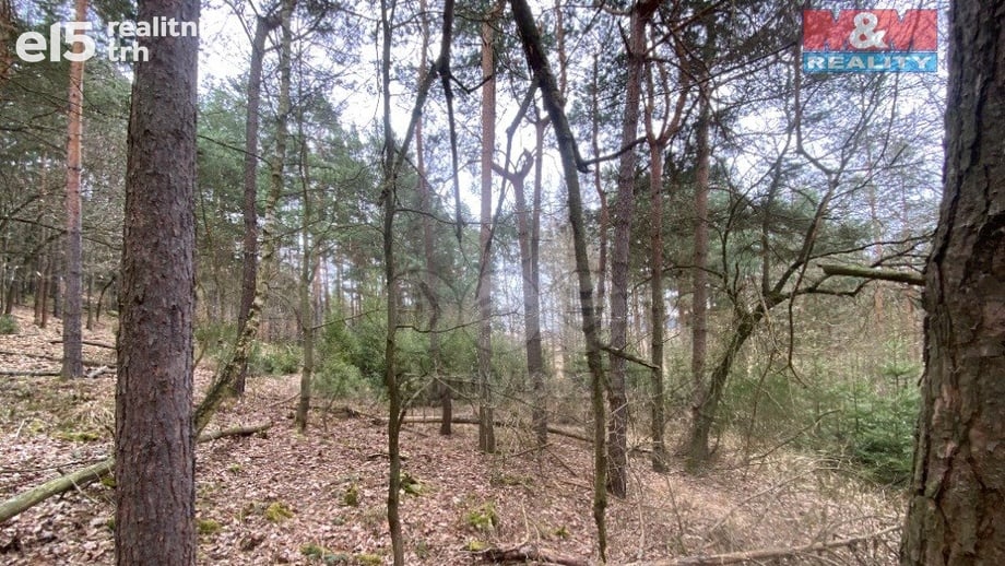 Prodej lesy, 2 768 m² - Miloňovice - Sudkovice