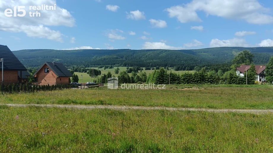 Prodej pozemky pro bydlení, 3 720 m² - Orlické Záhoří
