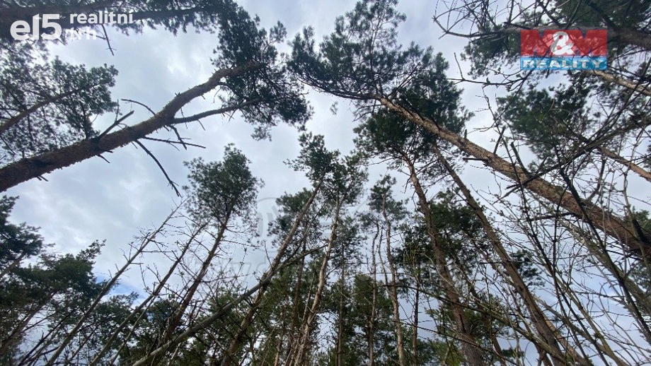 Prodej lesy, 2 084 m² - Slavičky - Pozďátky