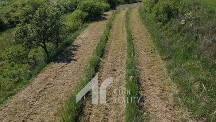 Prodej sadu / vinice 2 199 m², Křepice