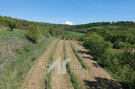 Prodej sadu / vinice 2 199 m², Křepice