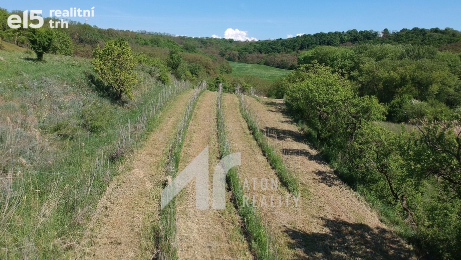 Prodej sady a vinice, 2 199 m² - Křepice
