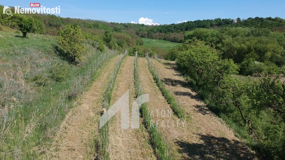 Prodej sadu / vinice 2 199 m², Křepice