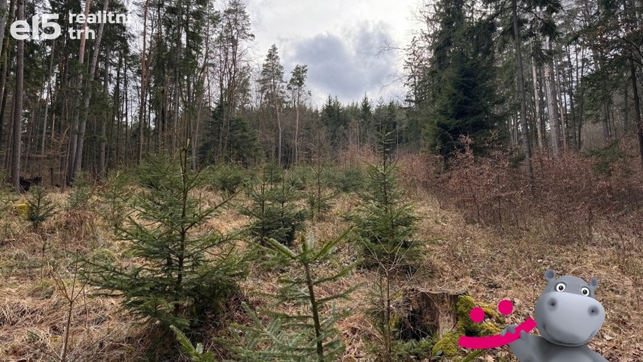 Prodej lesy, 9 588 m² - Omice