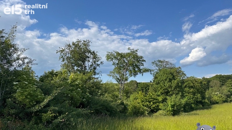 Prodej lesy, 9 984 m² - Halenkovice