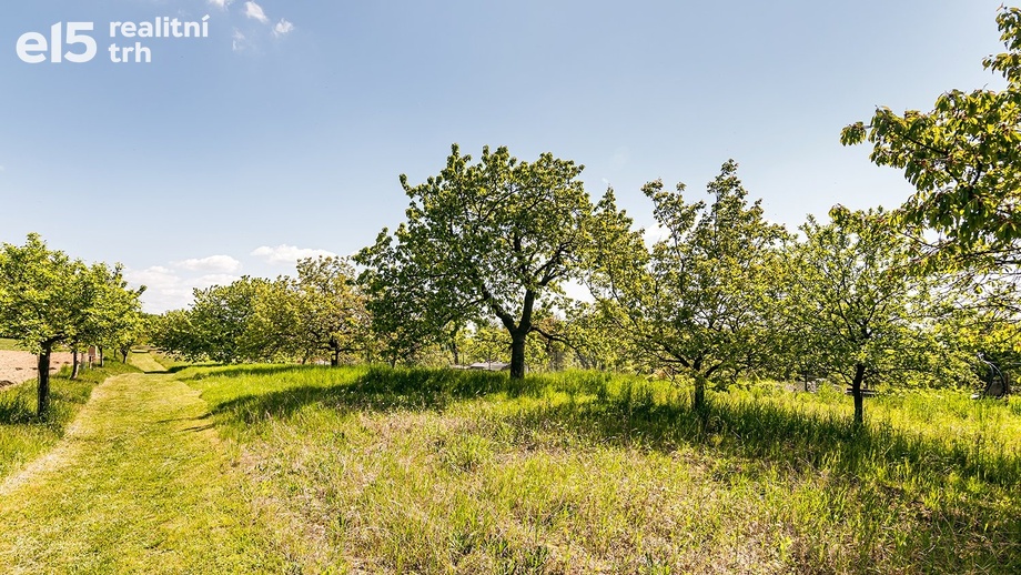 Prodej pozemky pro bydlení, 4 392 m² - Hlína