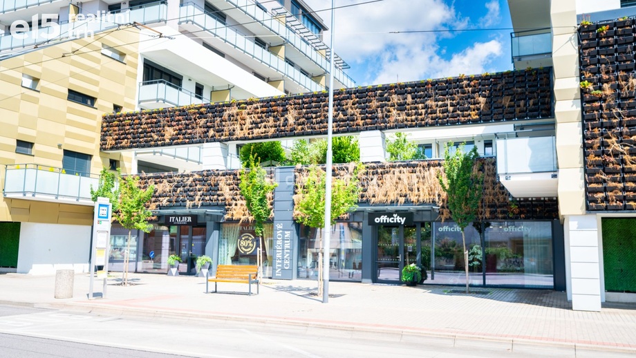 Pronájem ostatní komerční nemovitosti, 244 m² - České Budějovice 2