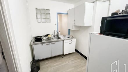 Prodej rodinného domu 168 m², Praha 3, Žižkov