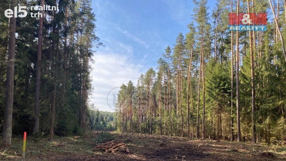 Prodej lesy, 7 764 m² - Újezdec