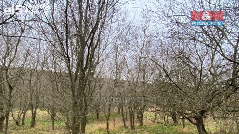 Prodej lesy, 11 619 m² - Šarovy
