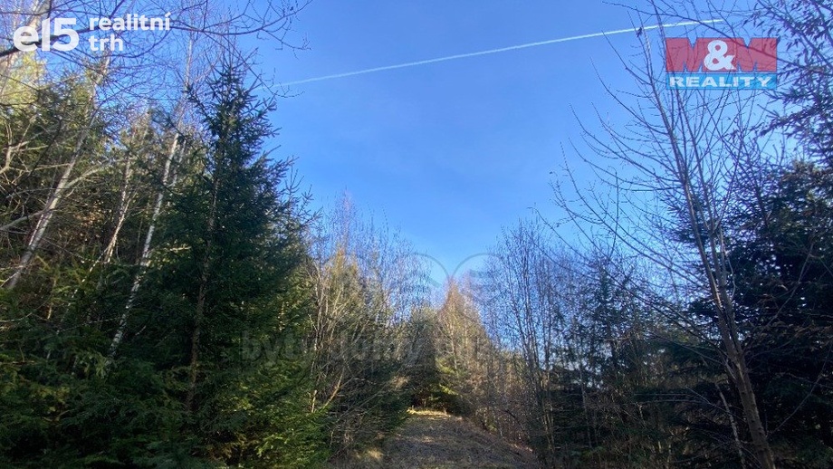 Prodej lesy, 11 769 m² - Ústí