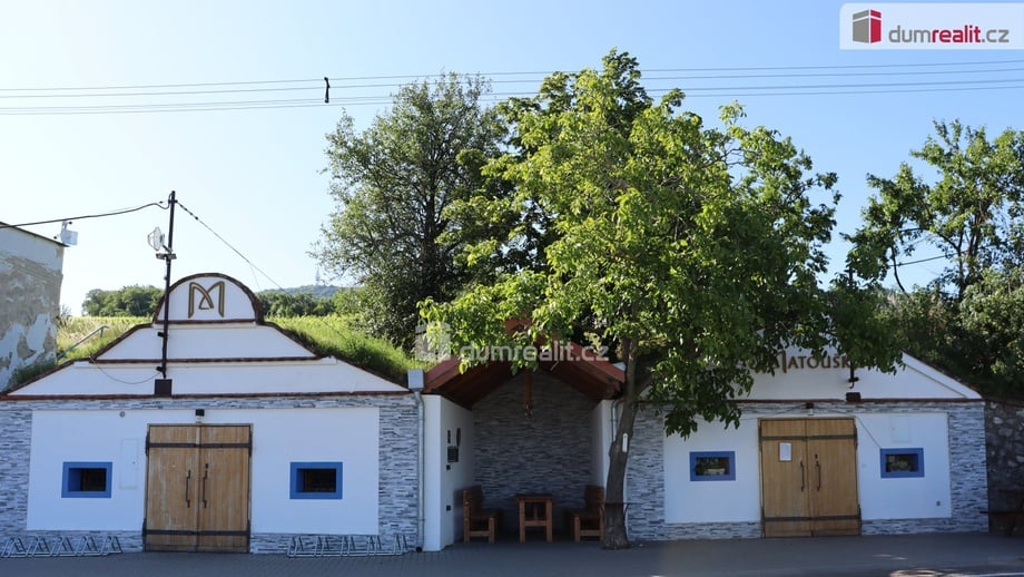 Prodej vinného sklepa 165 m², Horní Věstonice