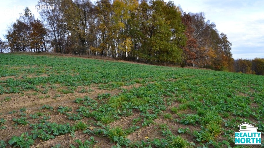 Prodej ostatní pozemky, 11 599 m² - Stráž pod Ralskem