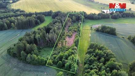 Prodej lesa 17 153 m², Božejov