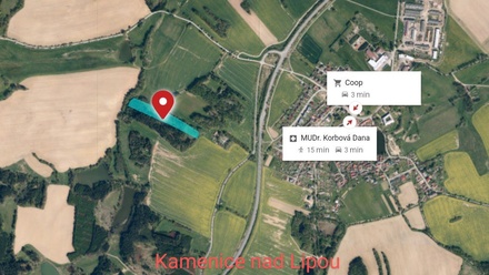 Prodej lesa 17 153 m², Božejov