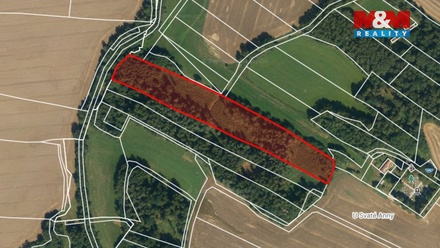 Prodej lesa 17 153 m², Božejov