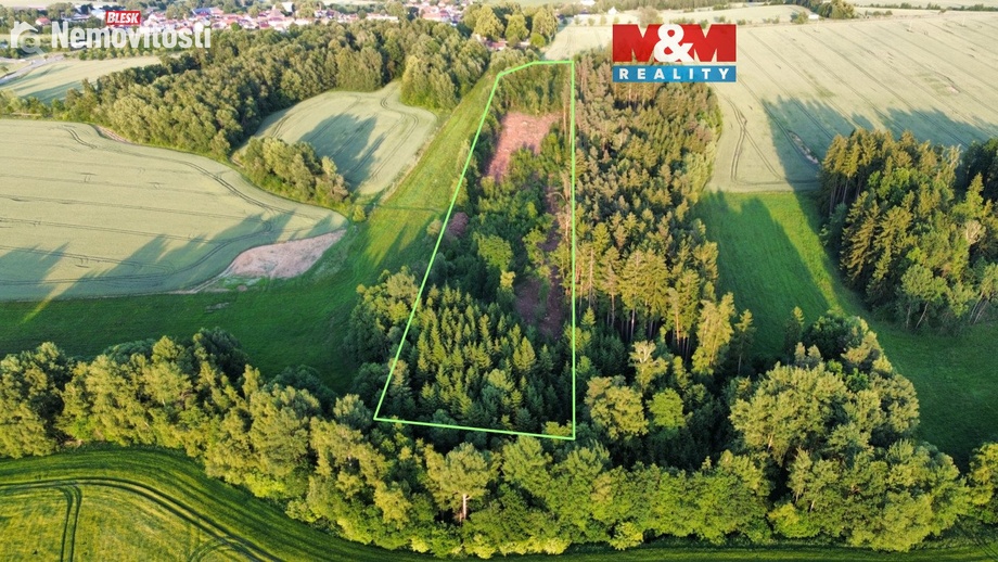 Prodej lesa 17 153 m², Božejov